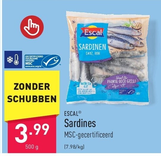 Sardines