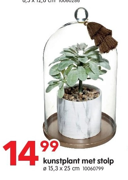 kunstplant met stolp