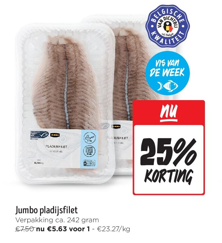 Jumbo pladijsfilet