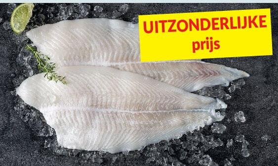 Pladijsfilet zonder vel
