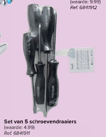 Set van 5 schroevendraaiers