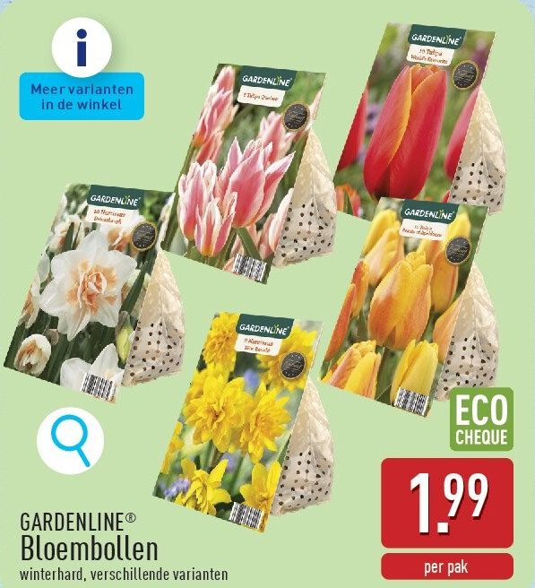 Bloembollen