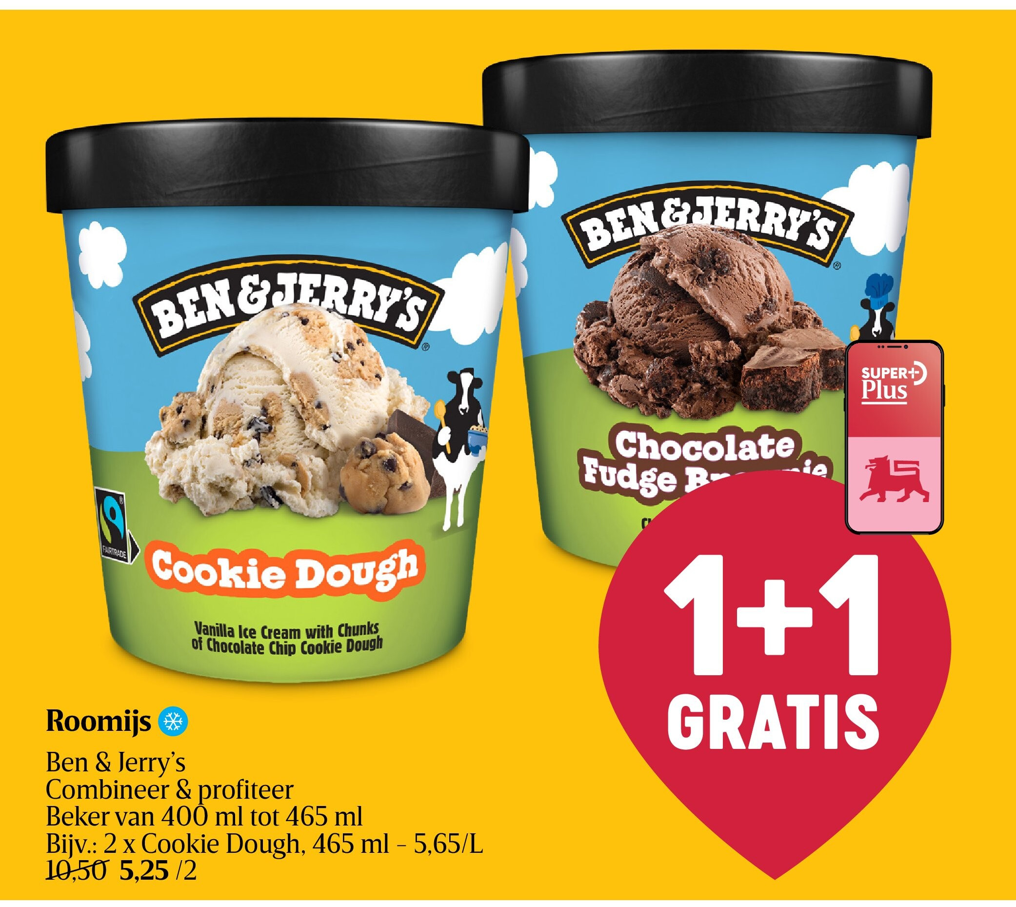 Roomijs
