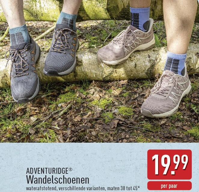 Wandelschoenen