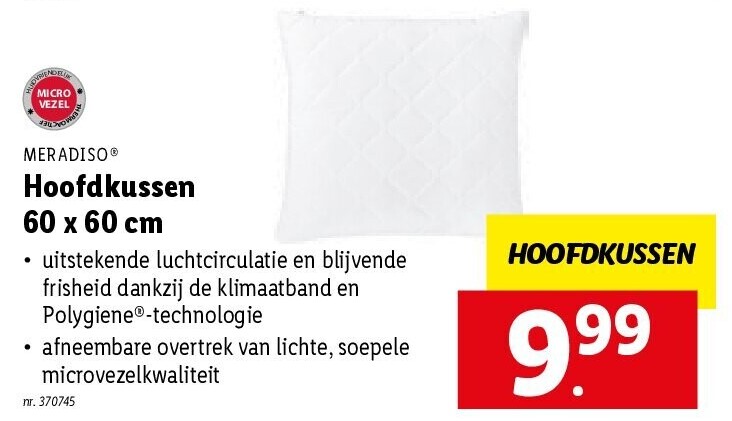 Hoofdkussen 60 x 60 cm