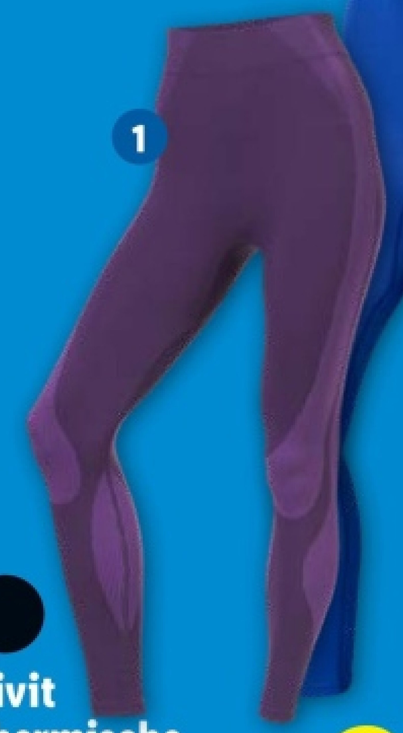 Thermische legging volwassenen