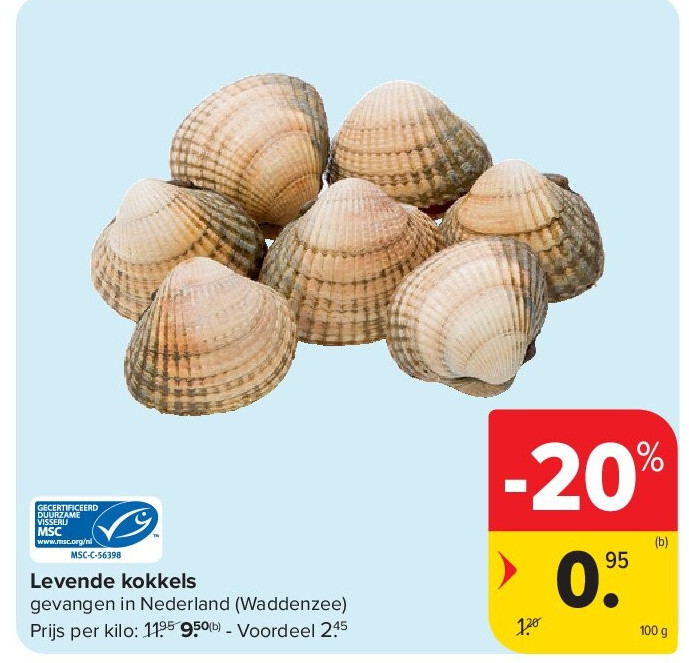 Levende kokkels