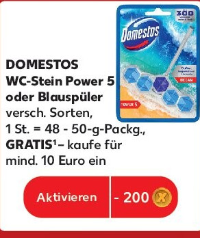 DOMESTOS WC-Stein Power 5 oder Blauspüler