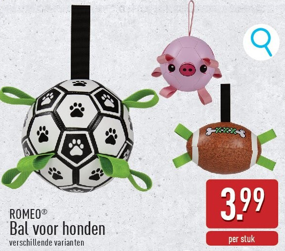 Bal voor honden