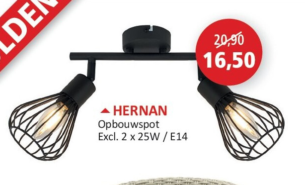 HERNAN