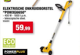 ELEKTRISCHE ONKRUIDBORSTEL POWXG6650"