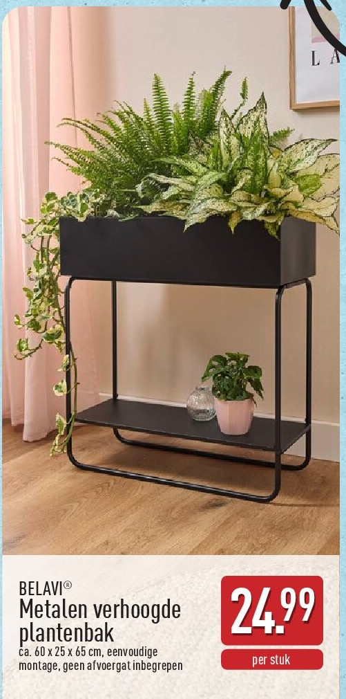 Metalen verhoogde plantenbak