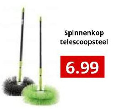 Spinnenkoр telescoopsteel