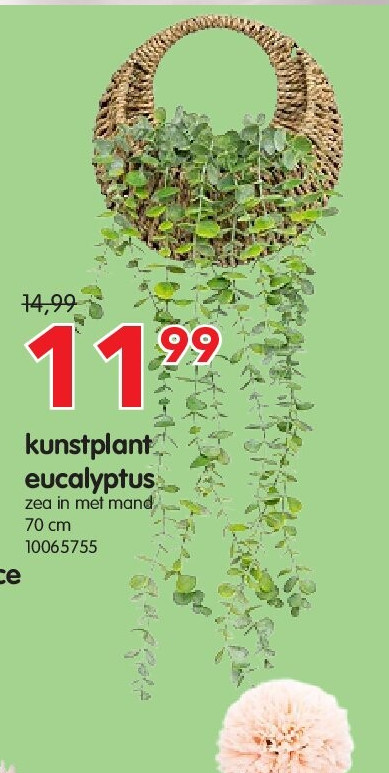 kunstplant eucalyptus