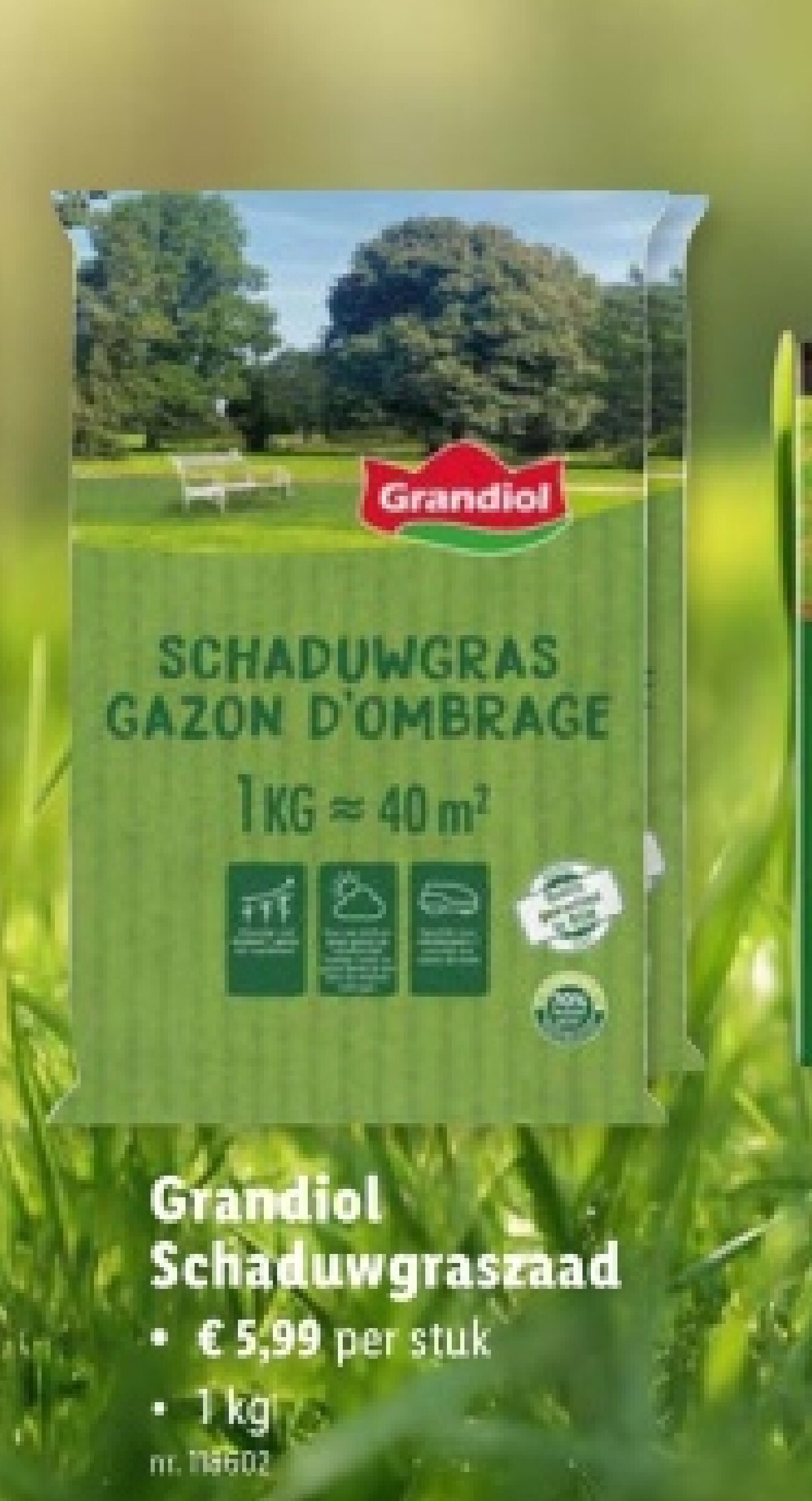 Schaduwgraszaad