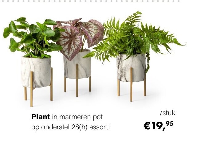 Plant in marmeren pot op onderstel 28(h) assorti
