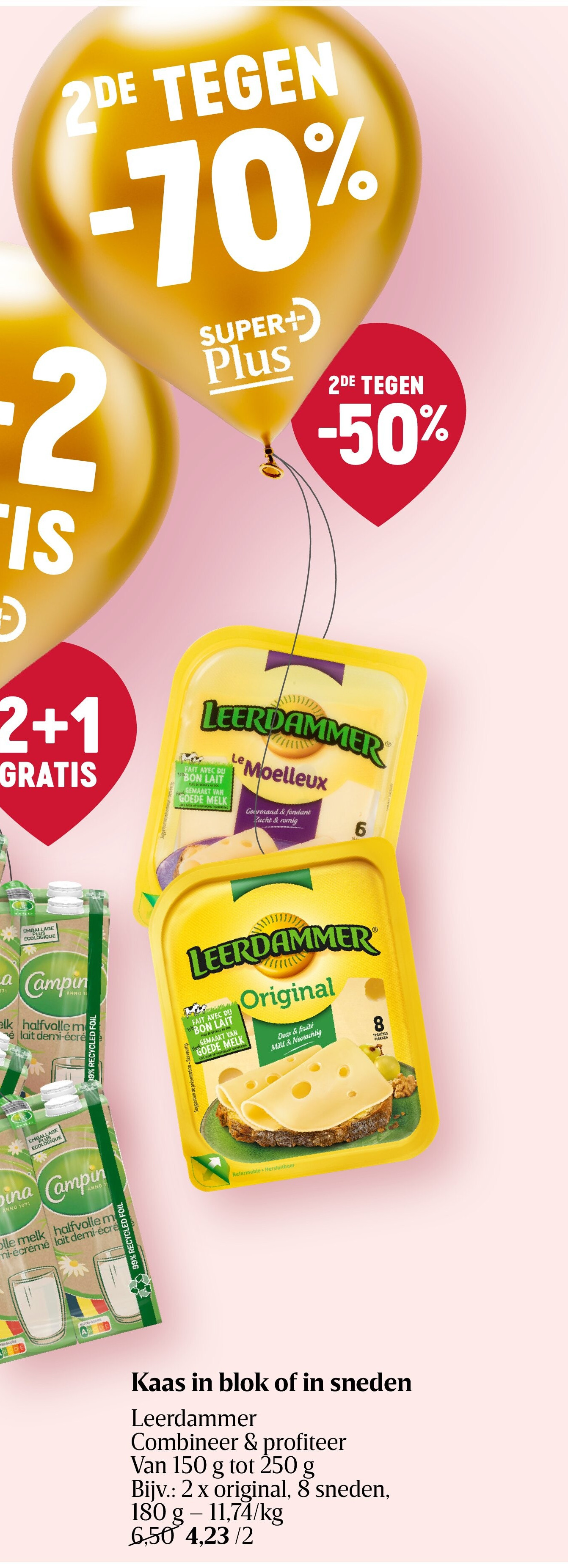 Kaas in blok of in sneden