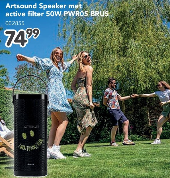 Artsound Speaker met active filter 50W PWR05 BRUS