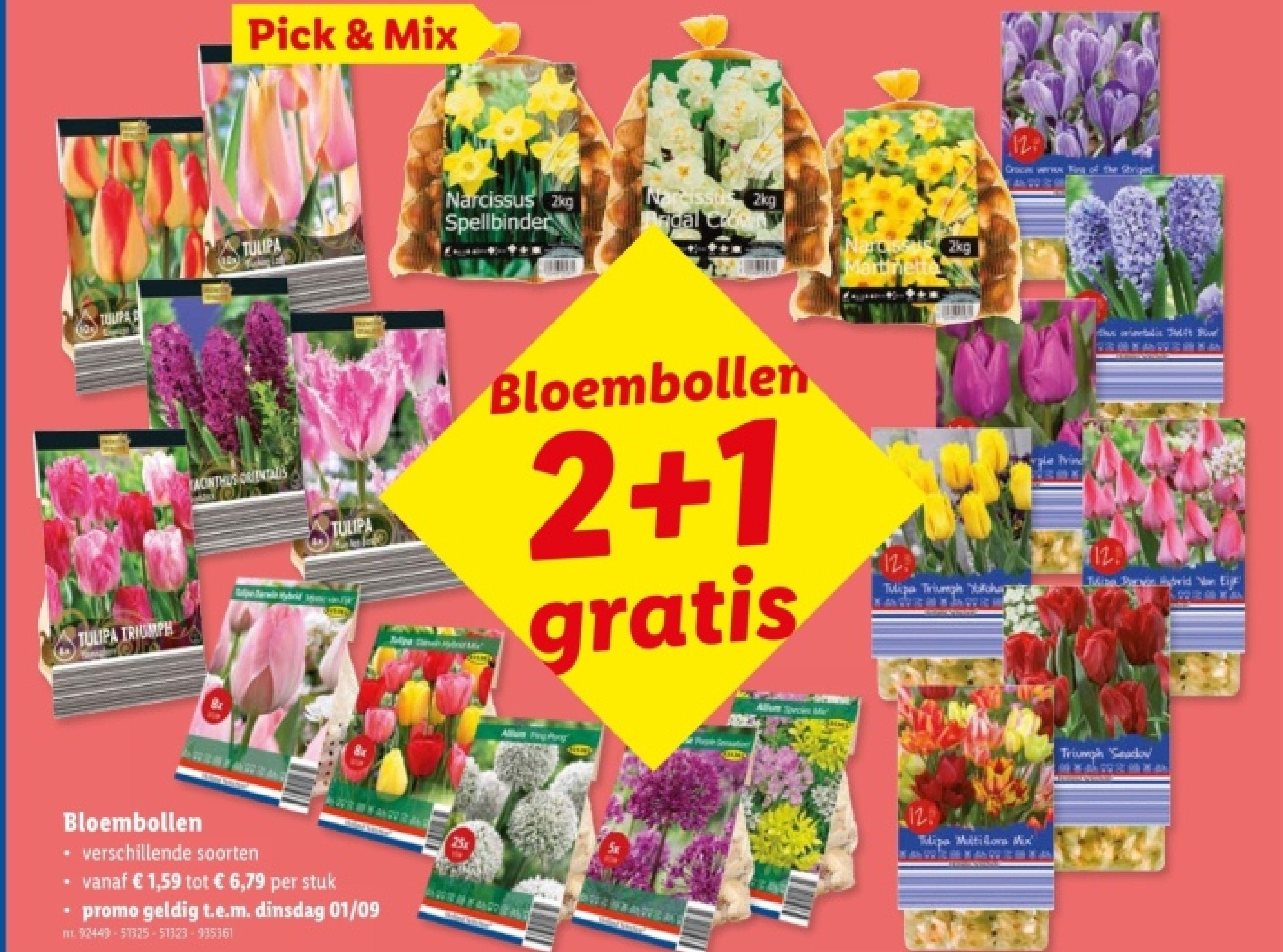 Bloembollen