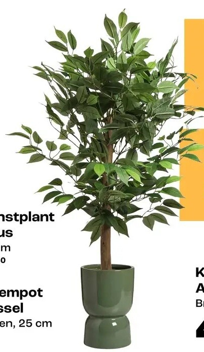 Kunstplant Ficus