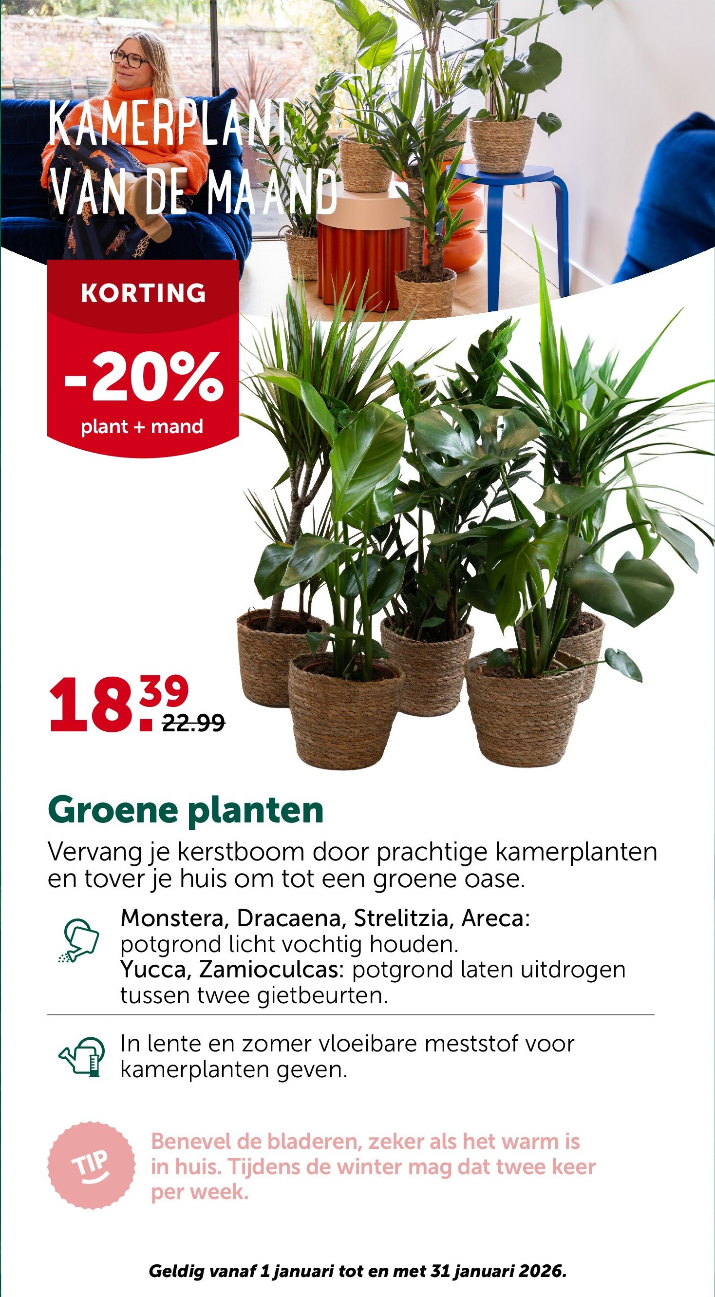 Groene planten
