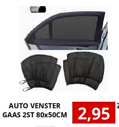 AUTO VENSTER GAAS 2ST 80x50CM