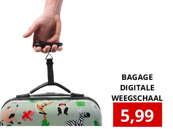 BAGAGE DIGITALE WEEGSCHAAL