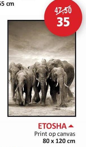 ETOSHA