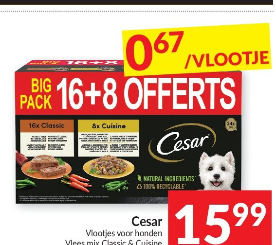 Cesar Vlootjes voor honden