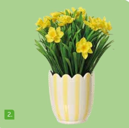 Narcissen in gestreepte bloempot