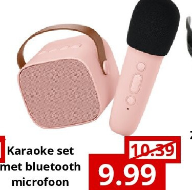 Karaoke set met bluetooth microfoon