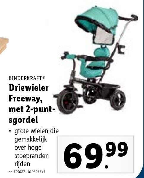 Driewieler Freeway, met 2-puntsgordel