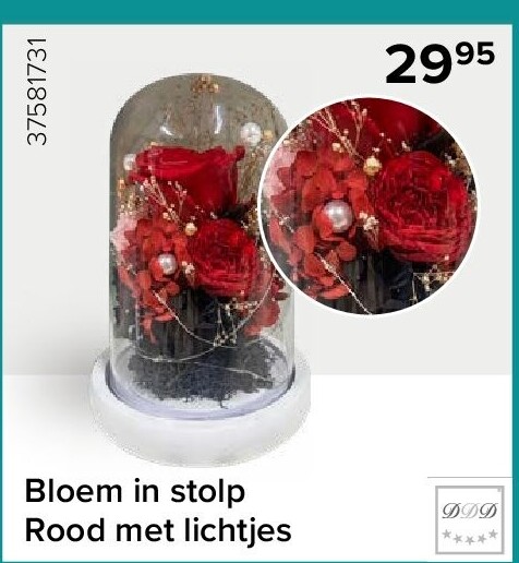 Bloem in stolp Rood met lichtjes