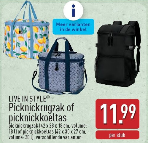 Picknickrugzak of picknickkoeltas