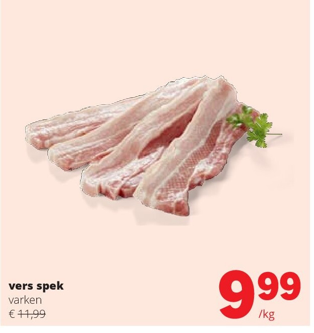 vers spek