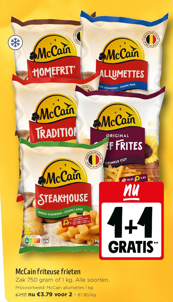 McCain friteuse frieten