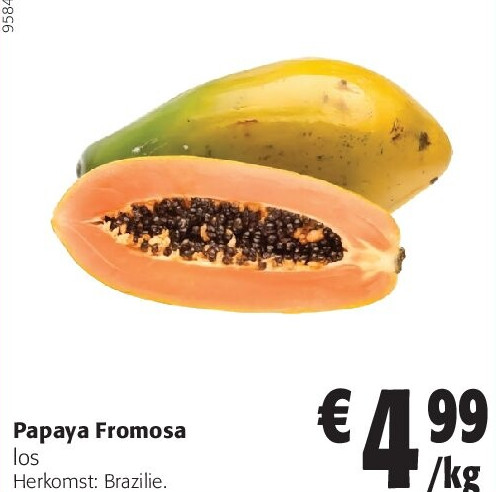 Papaya Fromosa