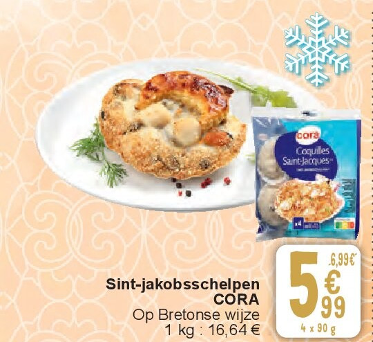 Sint-jakobsschelpen CORA