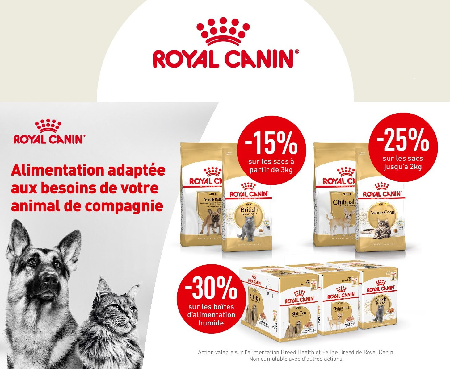 ROYAL CANIN 3 Kg