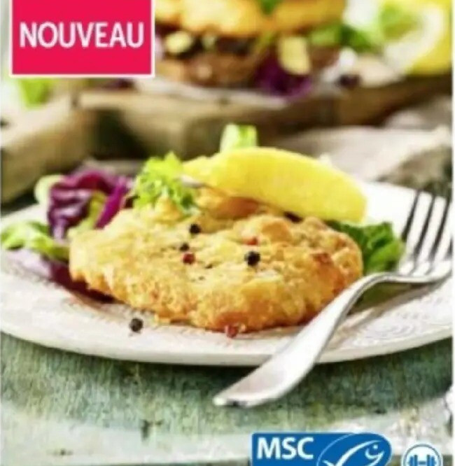 17469 Burgers de poisson en robe tempura