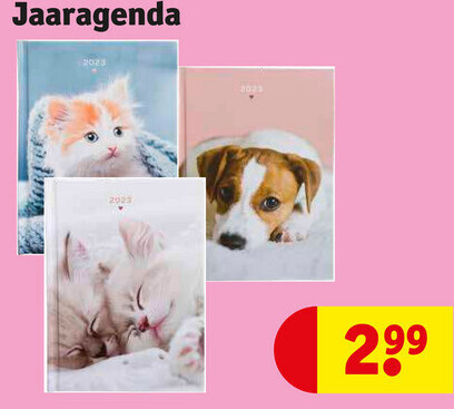 Jaaragenda