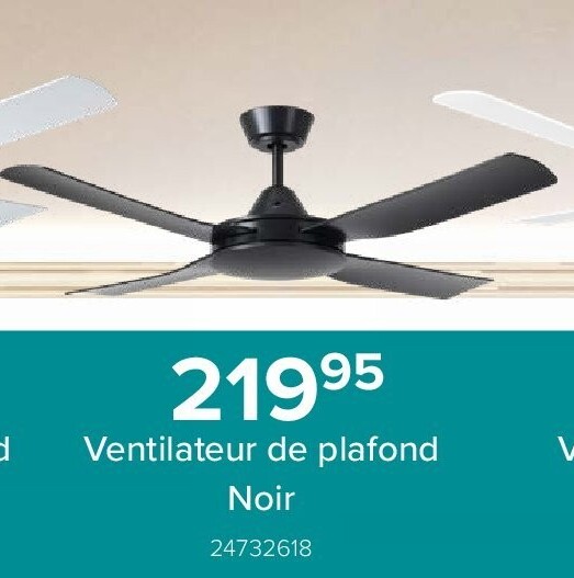Ventilateur de plafond Noir