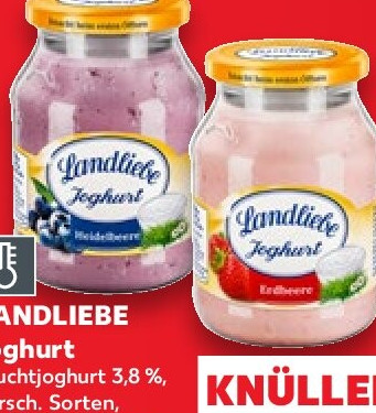 Fruchtjoghurt oder Rahmjoghurt