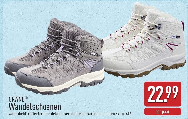 Wandelschoenen