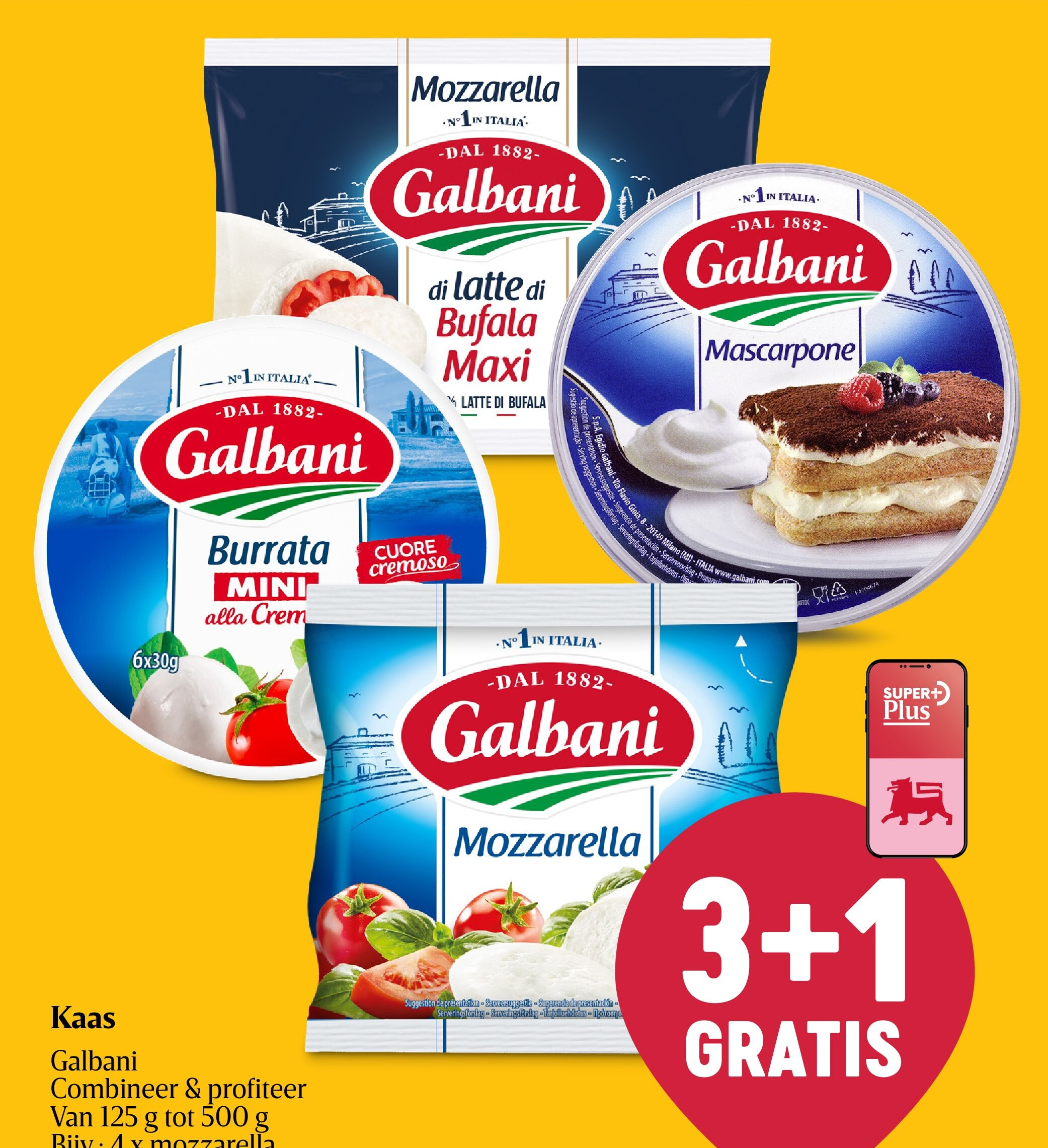 Kaas