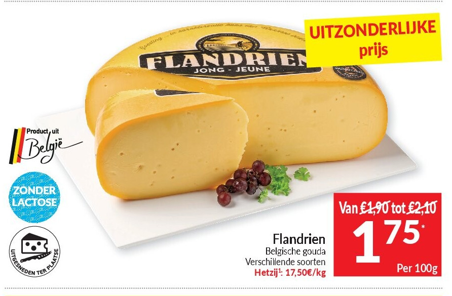 Flandrien