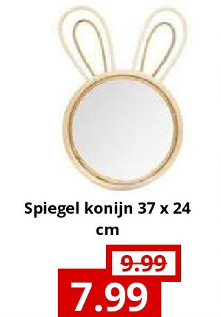 Spiegel konijn 37 x 24 cm