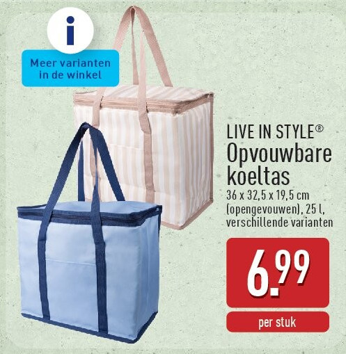 Opvouwbare koeltas