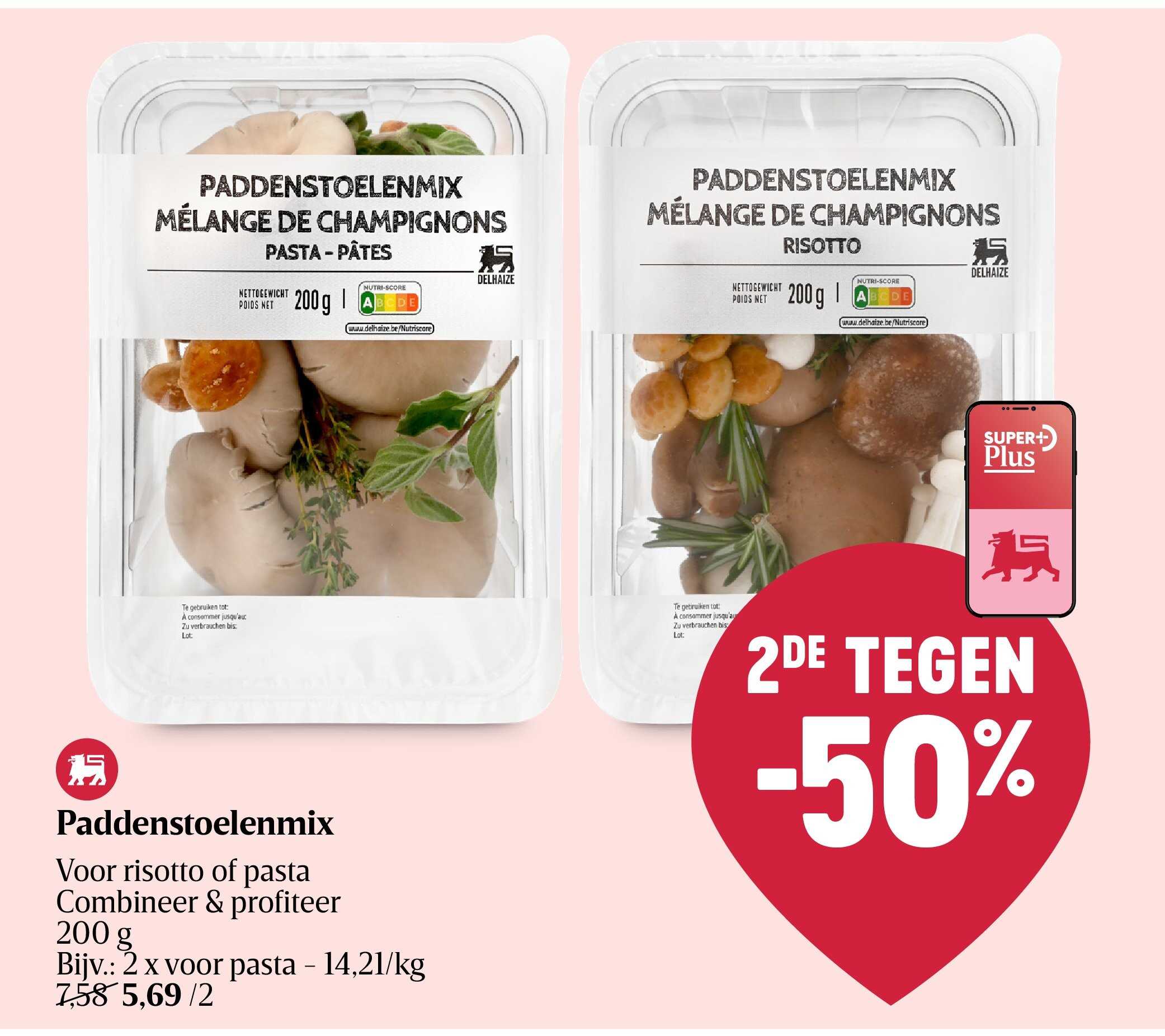 Mélange de champignons
