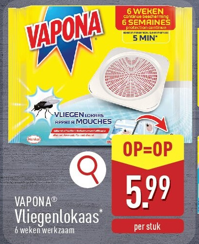 Vliegenlokaas